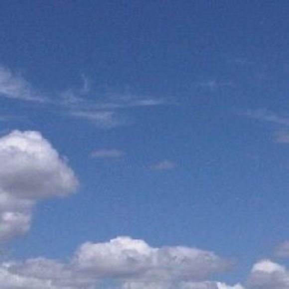 Meet your Posher, Jade - Picture 1 of 1